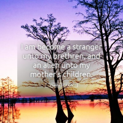 Picture 05 - Psalms 69:8 KJV - I am become a stranger unto my brethren, and an - Bible Verse Picture