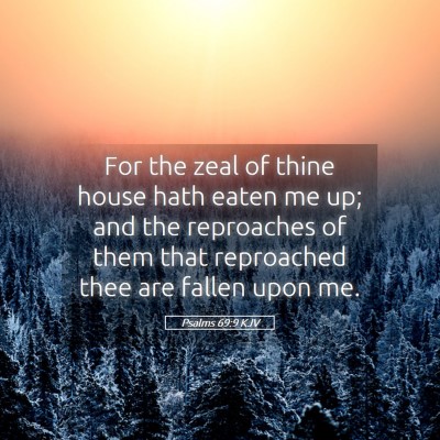 Picture 05 - Psalms 69:9 KJV - For the zeal of thine house hath eaten me up; and - Bible Verse Picture