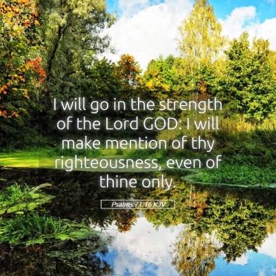 Picture 05 - Psalms 71:16 KJV - I will go in the strength of the Lord GOD: I will - Bible Verse Picture