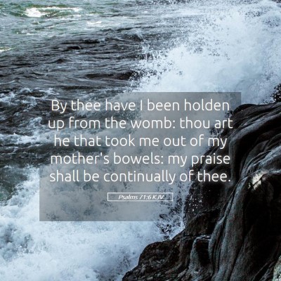 Picture 05 - Psalms 71:6 KJV - By thee have I been holden up from the womb: thou - Bible Verse Picture