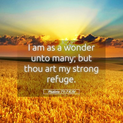 Picture 05 - Psalms 71:7 KJV - I am as a wonder unto many; but thou art my - Bible Verse Picture