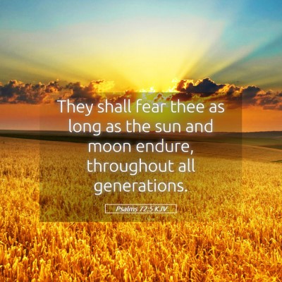 Picture 05 - Psalms 72:5 KJV - They shall fear thee as long as the sun and moon - Bible Verse Picture