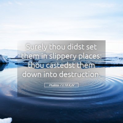 Picture 05 - Psalms 73:18 KJV - Surely thou didst set them in slippery places: - Bible Verse Picture