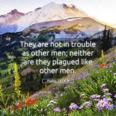 Picture 05 - Psalms 73:5 KJV - They are not in trouble as other men; neither are - Bible Verse Picture