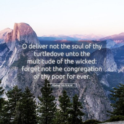 Picture 05 - Psalms 74:19 KJV - O deliver not the soul of thy turtledove unto the - Bible Verse Picture