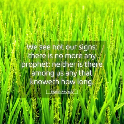 Picture 05 - Psalms 74:9 KJV - We see not our signs: there is no more any - Bible Verse Picture