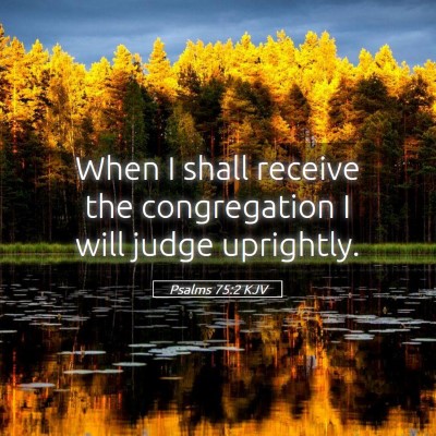 Picture 05 - Psalms 75:2 KJV - When I shall receive the congregation I will - Bible Verse Picture