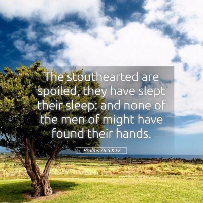 Picture 05 - Psalms 76:5 KJV - The stouthearted are spoiled, they have slept - Bible Verse Picture