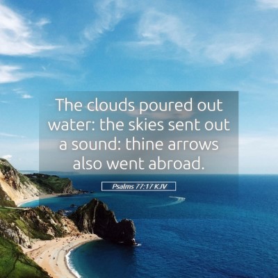 Picture 05 - Psalms 77:17 KJV - The clouds poured out water: the skies sent out a - Bible Verse Picture