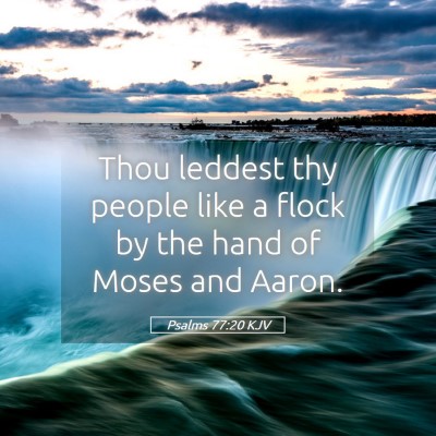 Picture 05 - Psalms 77:20 KJV - Thou leddest thy people like a flock by the hand - Bible Verse Picture