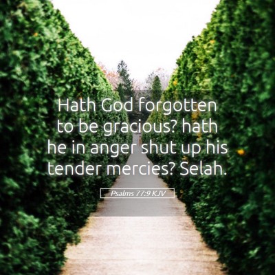 Picture 05 - Psalms 77:9 KJV - Hath God forgotten to be gracious? hath he in - Bible Verse Picture