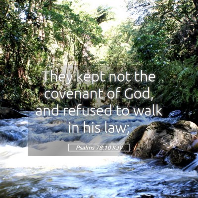 Picture 05 - Psalms 78:10 KJV - They kept not the covenant of God, and refused to - Bible Verse Picture