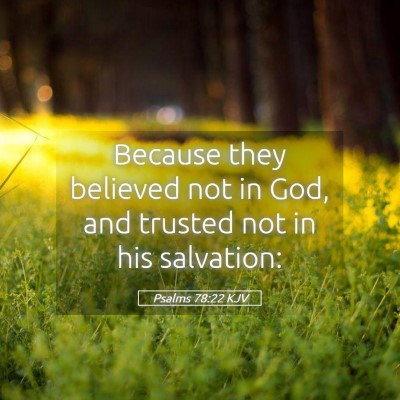 Picture 05 - Psalms 78:22 KJV - Because they believed not in God, and trusted not - Bible Verse Picture