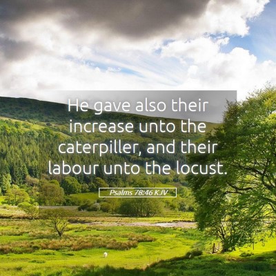 Picture 05 - Psalms 78:46 KJV - He gave also their increase unto the caterpiller, - Bible Verse Picture