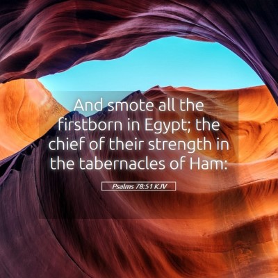 Picture 05 - Psalms 78:51 KJV - And smote all the firstborn in Egypt; the chief - Bible Verse Picture