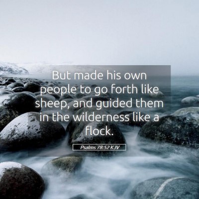 Picture 05 - Psalms 78:52 KJV - But made his own people to go forth like sheep, - Bible Verse Picture