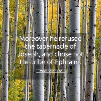 Picture 05 - Psalms 78:67 KJV - Moreover he refused the tabernacle of Joseph, and - Bible Verse Picture