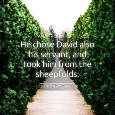 Picture 05 - Psalms 78:70 KJV - He chose David also his servant, and took him - Bible Verse Picture