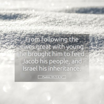 Picture 05 - Psalms 78:71 KJV - From following the ewes great with young he - Bible Verse Picture