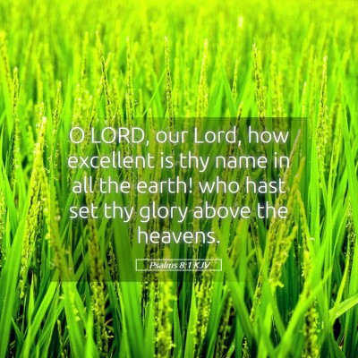 Picture 05 - Psalms 8:1 KJV - O LORD, our Lord, how excellent is thy name in - Bible Verse Picture