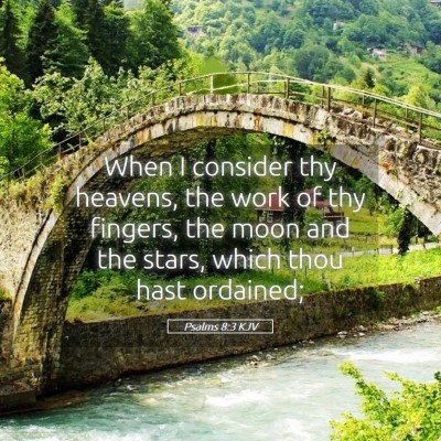 Picture 05 - Psalms 8:3 KJV - When I consider thy heavens, the work of thy - Bible Verse Picture