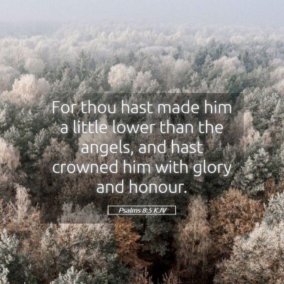 Picture 05 - Psalms 8:5 KJV - For thou hast made him a little lower than the - Bible Verse Picture