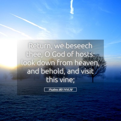 Picture 05 - Psalms 80:14 KJV - Return, we beseech thee, O God of hosts: look - Bible Verse Picture