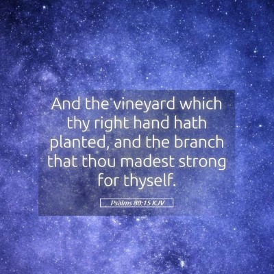 Picture 05 - Psalms 80:15 KJV - And the vineyard which thy right hand hath - Bible Verse Picture