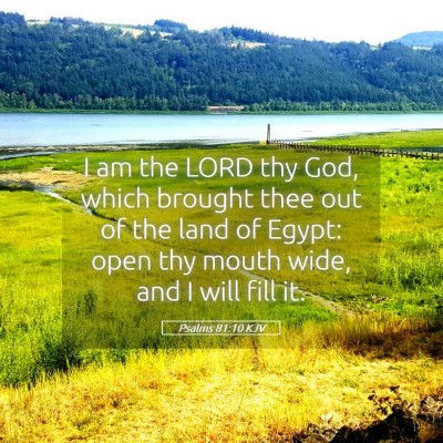 Picture 05 - Psalms 81:10 KJV - I am the LORD thy God, which brought thee out of - Bible Verse Picture