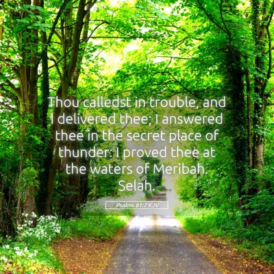 Picture 05 - Psalms 81:7 KJV - Thou calledst in trouble, and I delivered thee; I - Bible Verse Picture