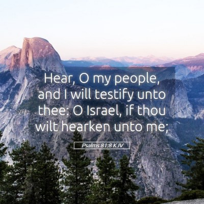 Picture 05 - Psalms 81:8 KJV - Hear, O my people, and I will testify unto thee: - Bible Verse Picture