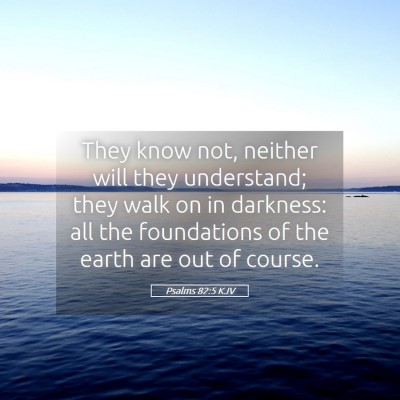 Picture 05 - Psalms 82:5 KJV - They know not, neither will they understand; they - Bible Verse Picture
