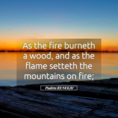 Picture 05 - Psalms 83:14 KJV - As the fire burneth a wood, and as the flame - Bible Verse Picture