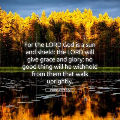 Picture 05 - Psalms 84:11 KJV - For the LORD God is a sun and shield: the LORD - Bible Verse Picture