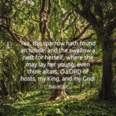 Picture 05 - Psalms 84:3 KJV - Yea, the sparrow hath found an house, and the - Bible Verse Picture