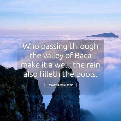 Picture 05 - Psalms 84:6 KJV - Who passing through the valley of Baca make it a - Bible Verse Picture