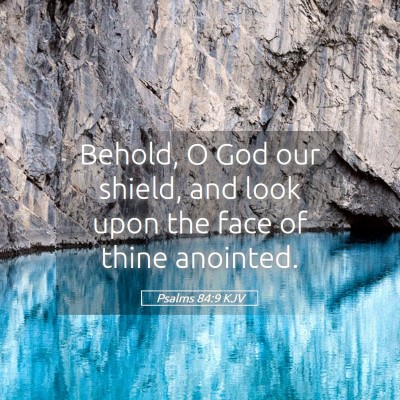 Picture 05 - Psalms 84:9 KJV - Behold, O God our shield, and look upon the face - Bible Verse Picture