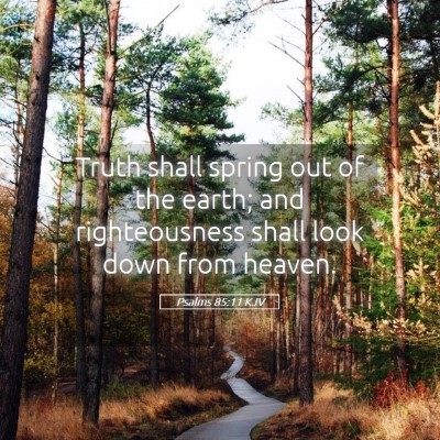 Picture 05 - Psalms 85:11 KJV - Truth shall spring out of the earth; and - Bible Verse Picture