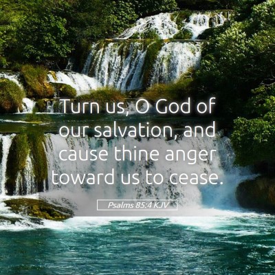 Picture 05 - Psalms 85:4 KJV - Turn us, O God of our salvation, and cause thine - Bible Verse Picture