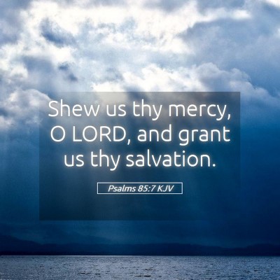 Picture 05 - Psalms 85:7 KJV - Shew us thy mercy, O LORD, and grant us thy - Bible Verse Picture