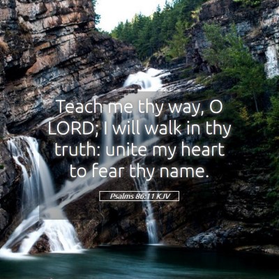 Picture 05 - Psalms 86:11 KJV - Teach me thy way, O LORD; I will walk in thy - Bible Verse Picture