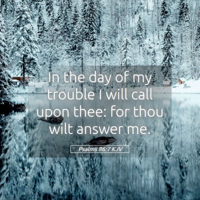 Picture 05 - Psalms 86:7 KJV - In the day of my trouble I will call upon thee: - Bible Verse Picture