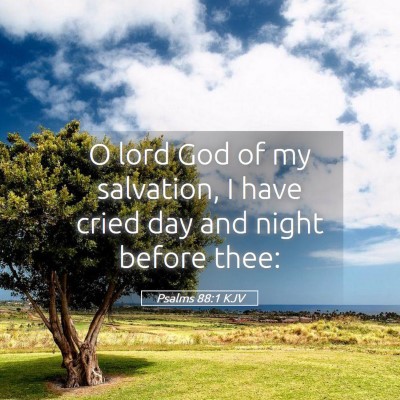 Picture 05 - Psalms 88:1 KJV - O lord God of my salvation, I have cried day and - Bible Verse Picture