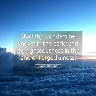 Picture 05 - Psalms 88:12 KJV - Shall thy wonders be known in the dark? and thy - Bible Verse Picture