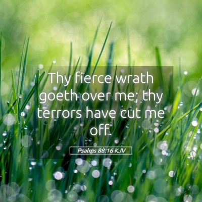 Picture 05 - Psalms 88:16 KJV - Thy fierce wrath goeth over me; thy terrors have - Bible Verse Picture