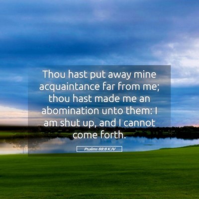 Picture 05 - Psalms 88:8 KJV - Thou hast put away mine acquaintance far from me; - Bible Verse Picture