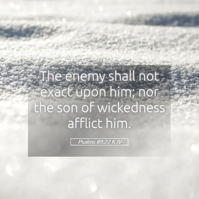Picture 05 - Psalms 89:22 KJV - The enemy shall not exact upon him; nor the son - Bible Verse Picture