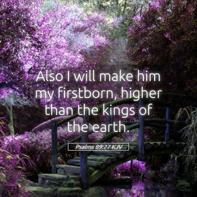 Picture 05 - Psalms 89:27 KJV - Also I will make him my firstborn, higher than - Bible Verse Picture