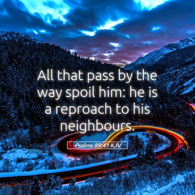 Picture 05 - Psalms 89:41 KJV - All that pass by the way spoil him: he is a - Bible Verse Picture