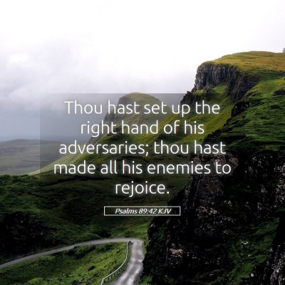 Picture 05 - Psalms 89:42 KJV - Thou hast set up the right hand of his - Bible Verse Picture
